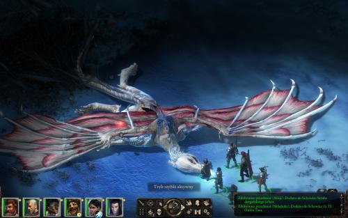 Pillars of Eternity The White March Part I 182747,3